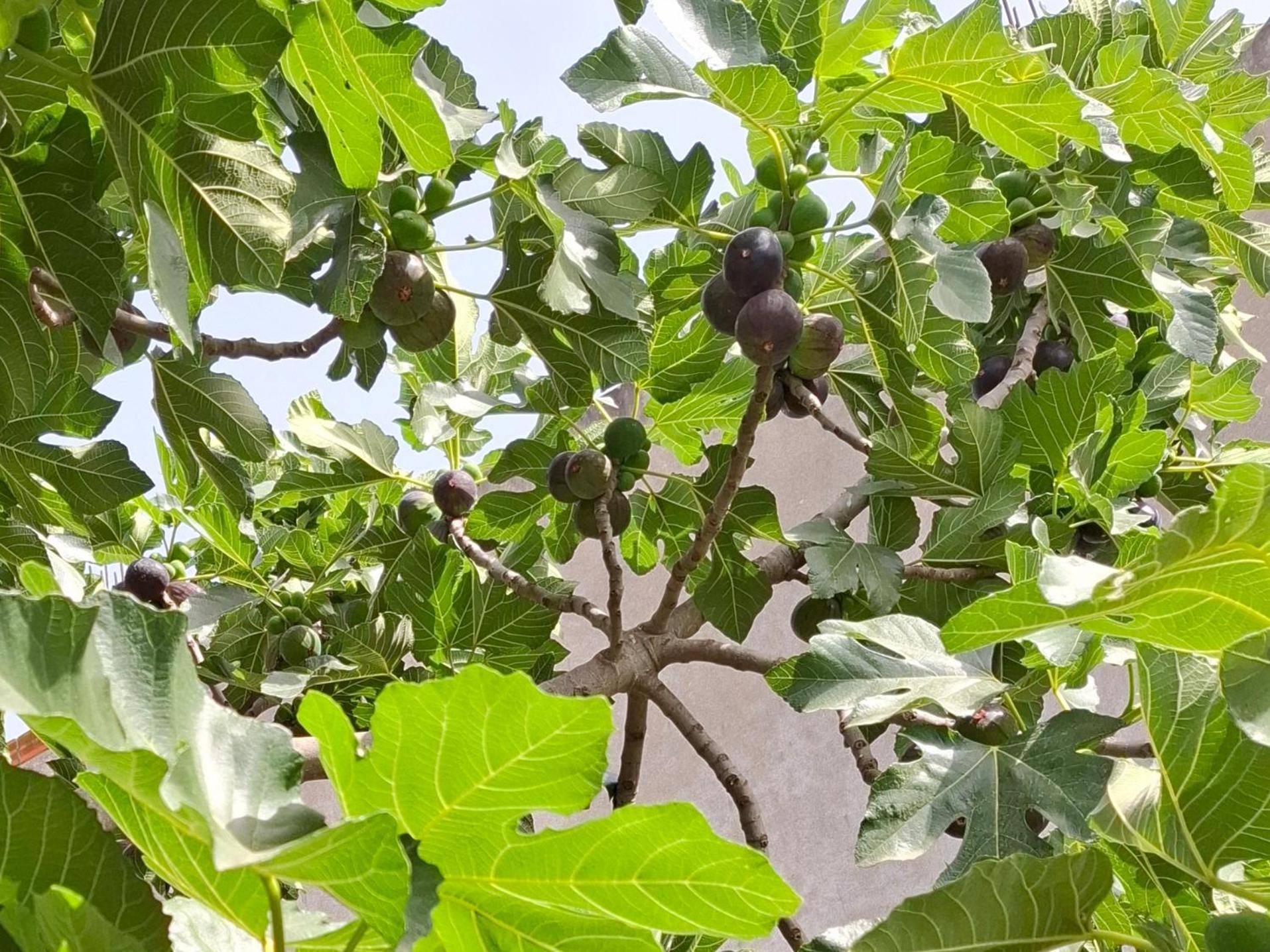 Vila Noar Vlorë Eksteriør bilde